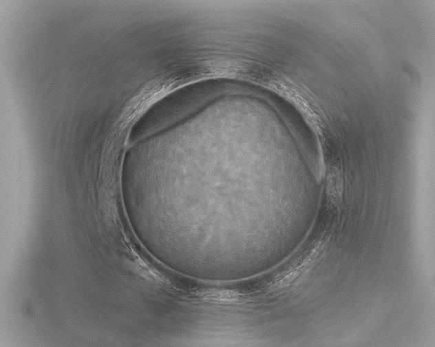 X0000116570577200912101512