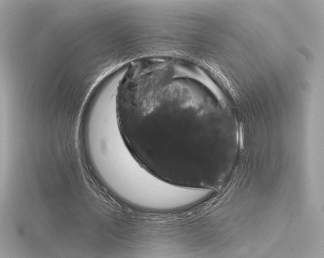 X0000116570579200912101512