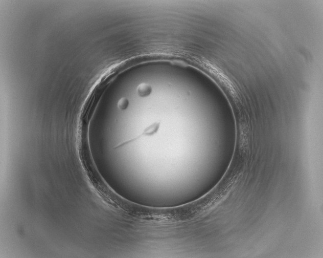 X0000116570580200912101512