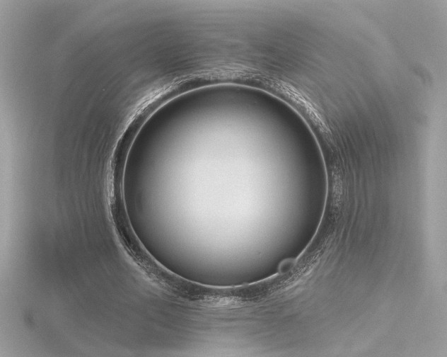 X0000116570582200912101512