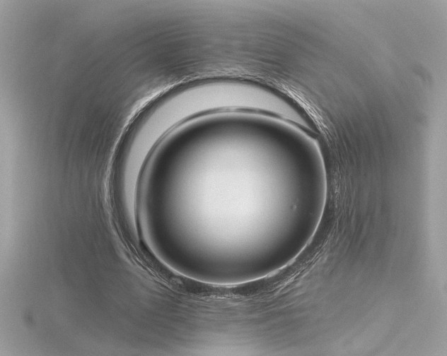 X0000116570583200912101512