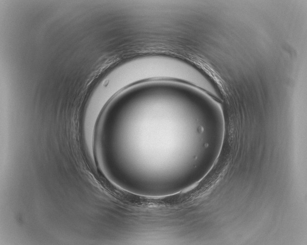 X0000116570585200912101512