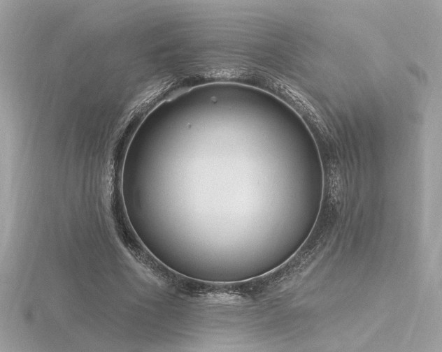 X0000116570586200912101512