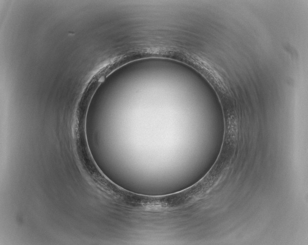 X0000116570587200912101512