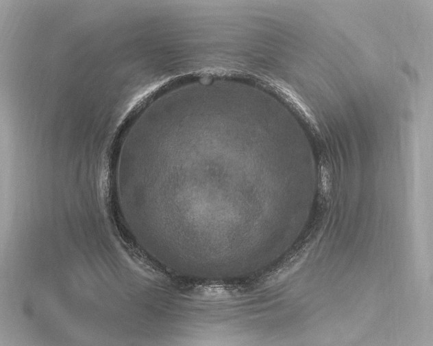 X0000116570588200912101512