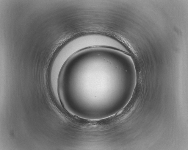 X0000116570589200912101512