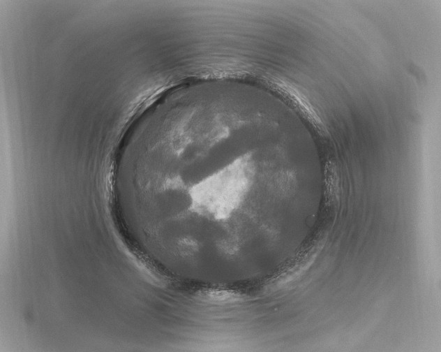 X0000116570590200912101512