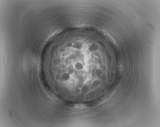 X0000116570591200912101512