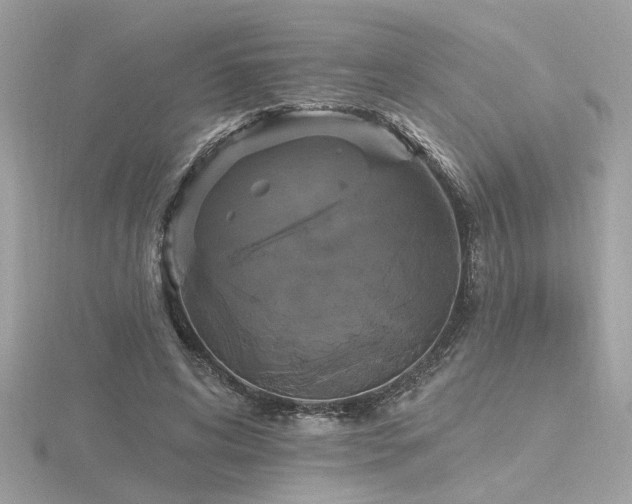 X0000116570592200912101512