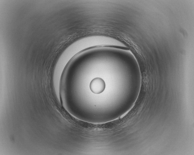 X0000116570593200912101512