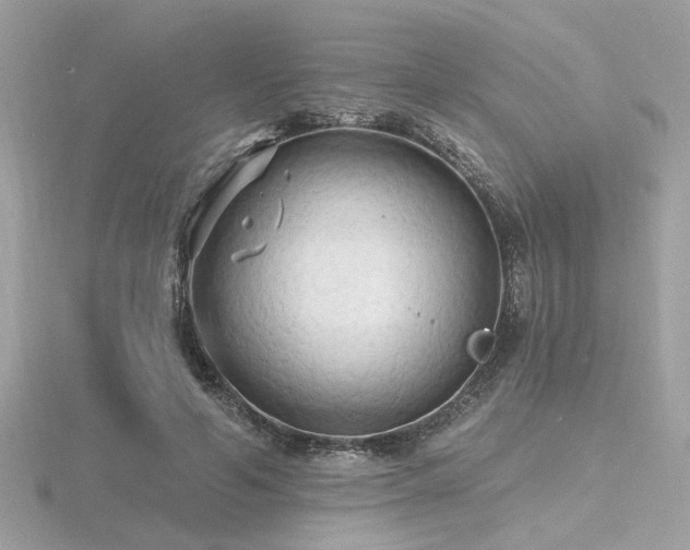 X0000116570594200912101512