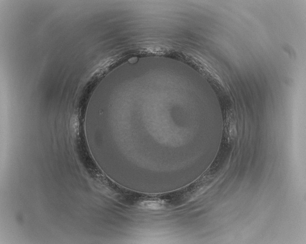 X0000116570595200912101512