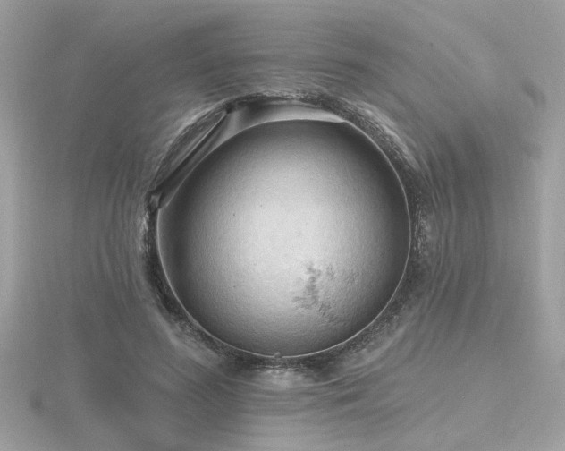 X0000116570596200912101512