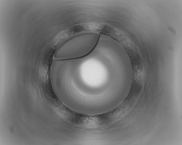 X0000116570599200912101512