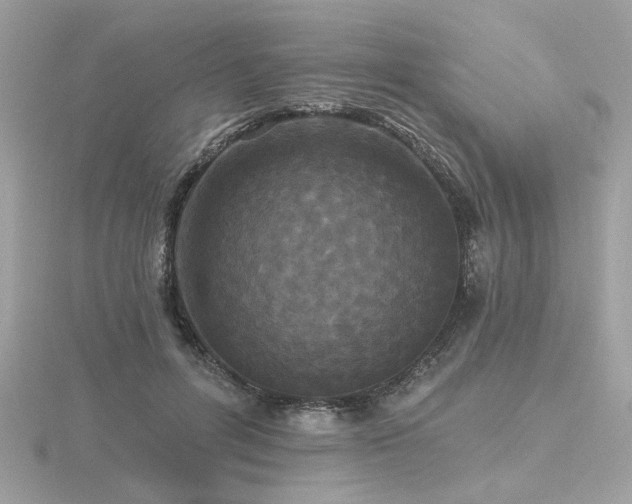 X0000116570600200912101512