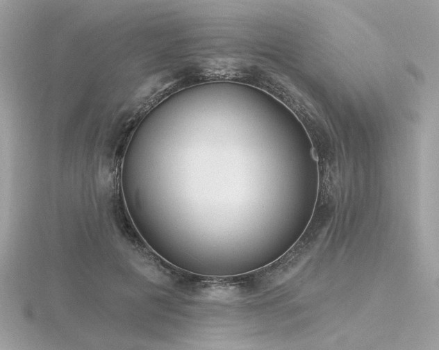 X0000116570601200912101512