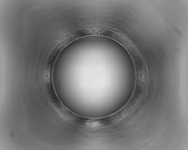 X0000116570602200912101512