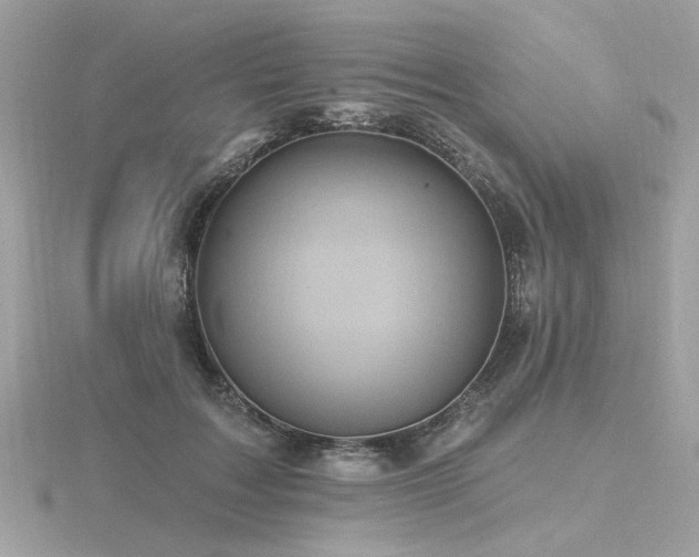 X0000116570603200912101512