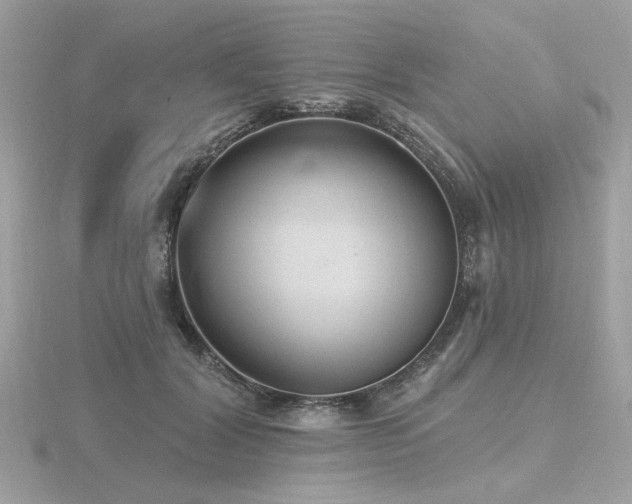 X0000116570604200912101512