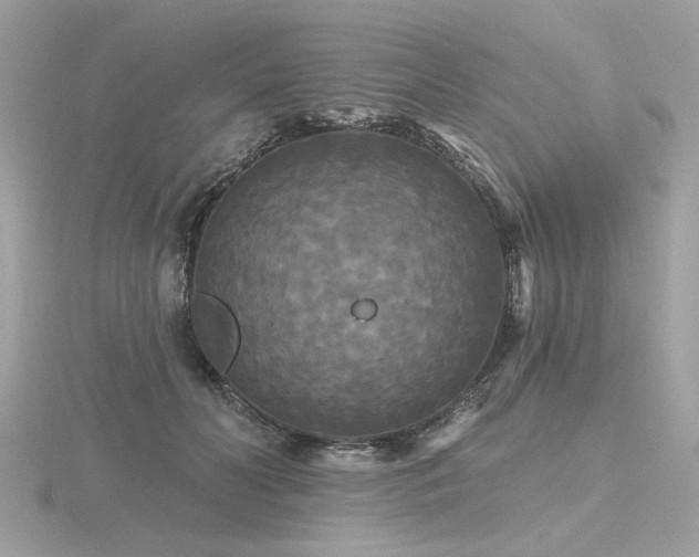 X0000116570606200912101512