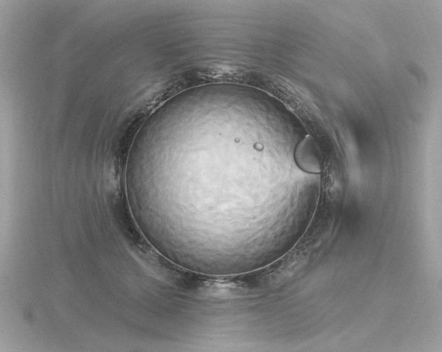 X0000116570607200912101512