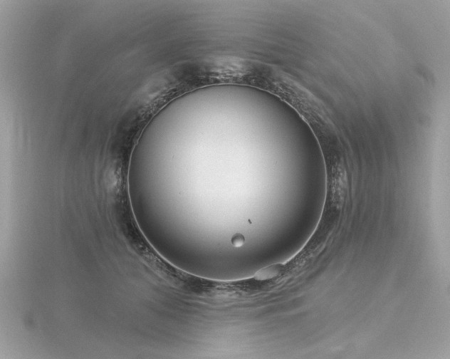 X0000116570608200912101512