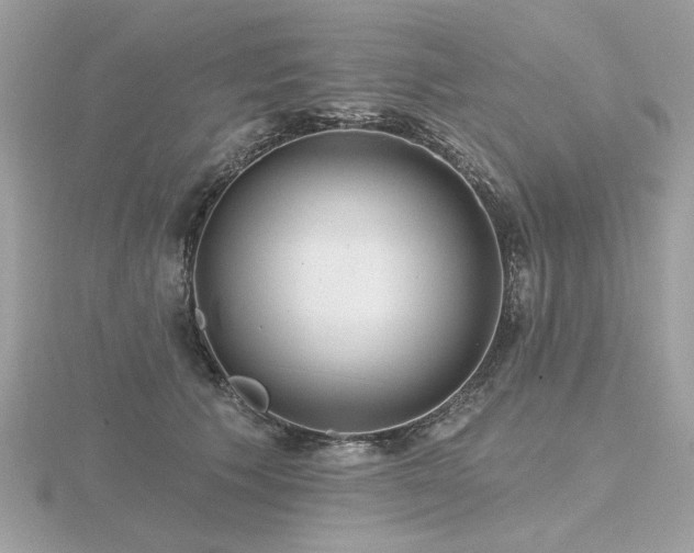 X0000116570609200912101512