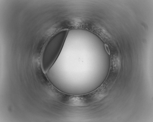 X0000116570611200912101512