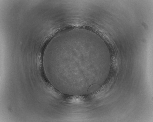 X0000116570612200912101512