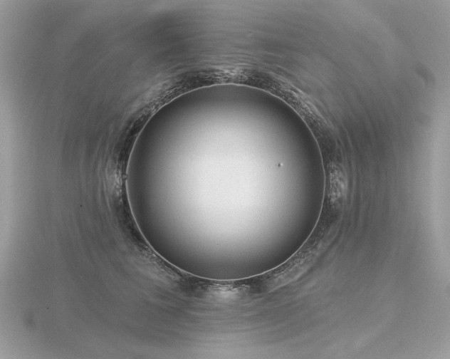 X0000116570613200912101512