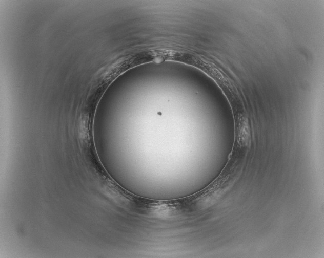 X0000116570616200912101511