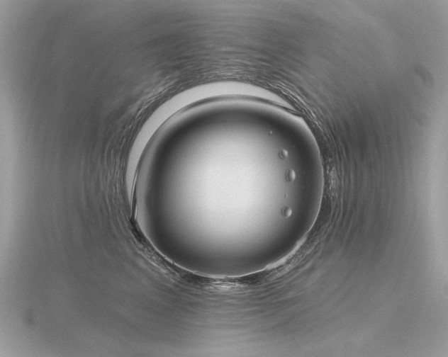 X0000116570617200912101511