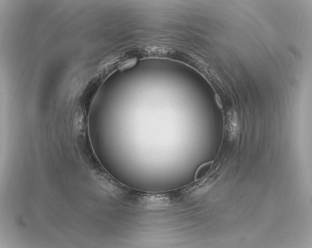 X0000116570619200912101511