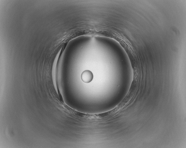 X0000116570621200912101511