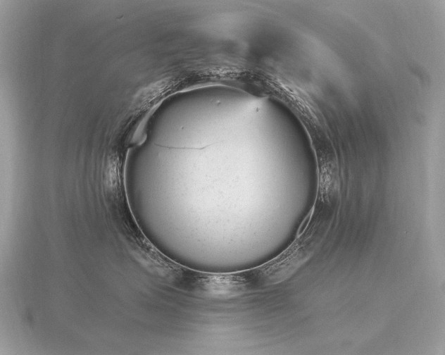 X0000116570623200912101511