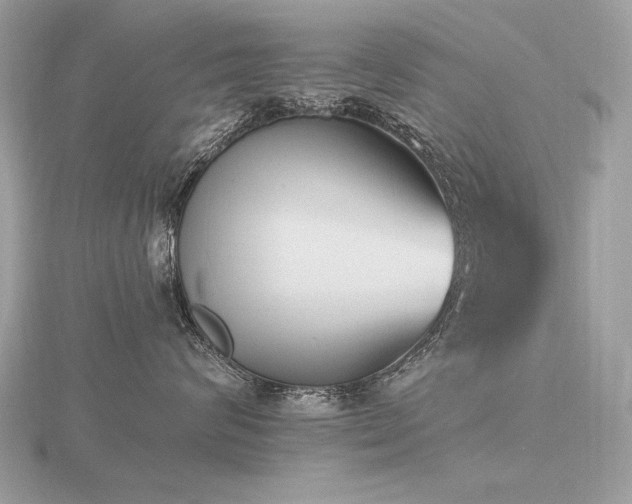 X0000116570624200912101511