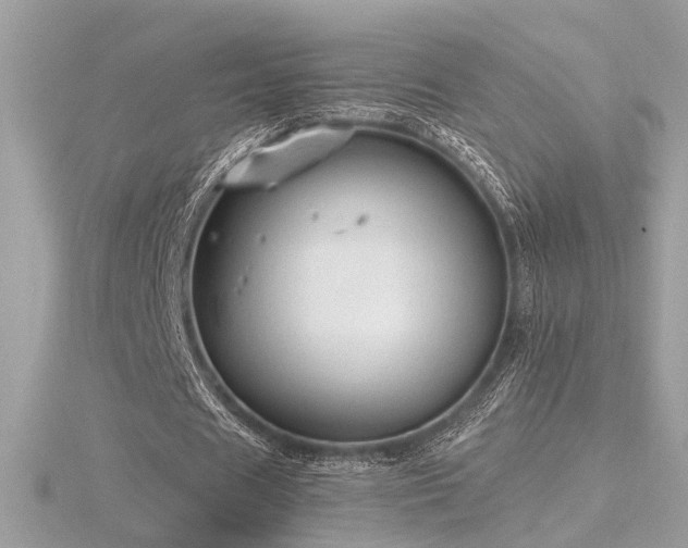 X0000116570625200912101511