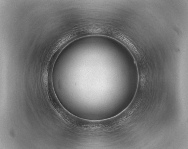 X0000116570626200912101511