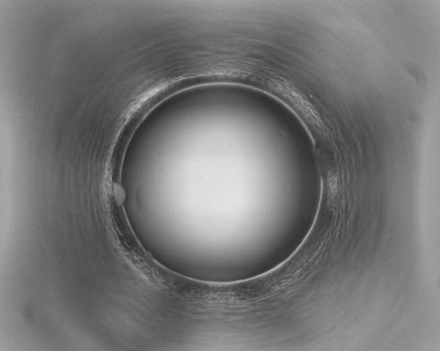 X0000116570628200912101511