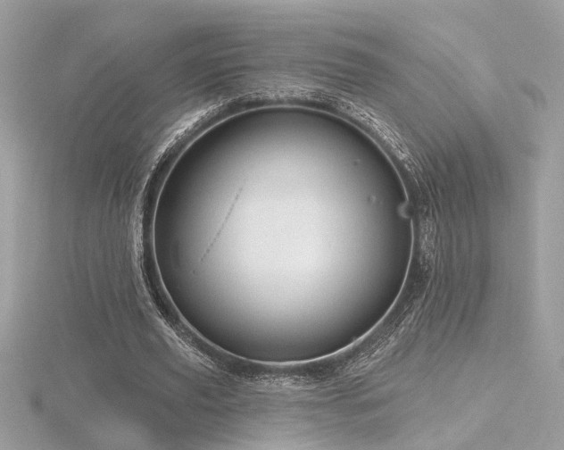 X0000116570629200912101511