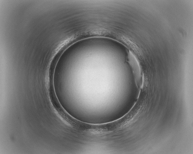 X0000116570630200912101511