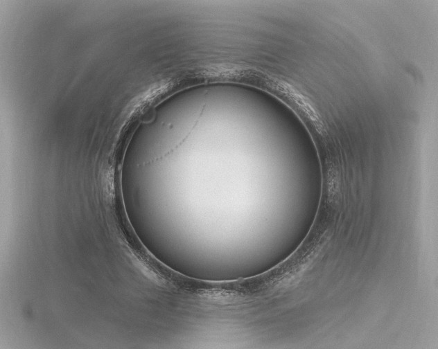 X0000116570633200912101511