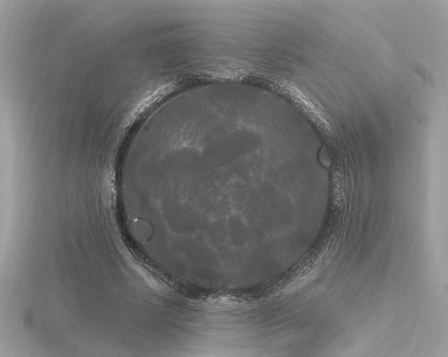 X0000116570634200912101511