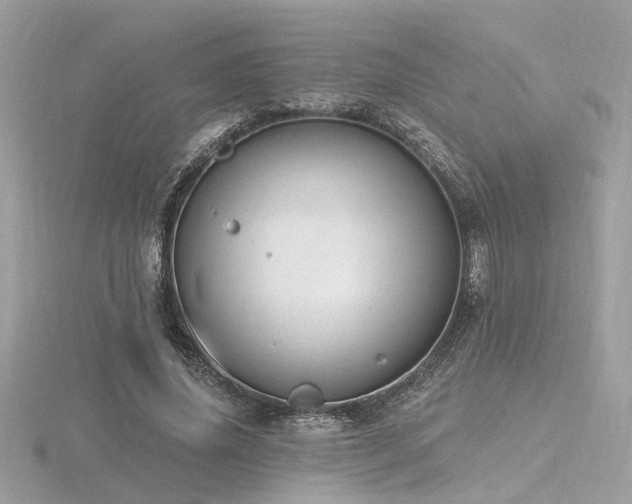 X0000116570636200912101511