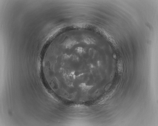 X0000116570637200912101511