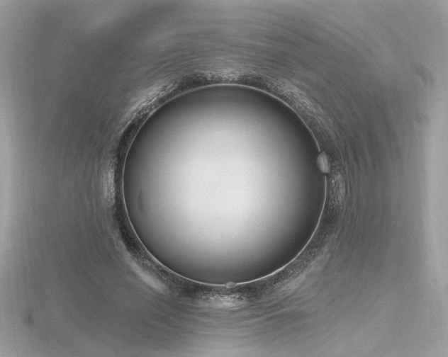 X0000116570638200912101511