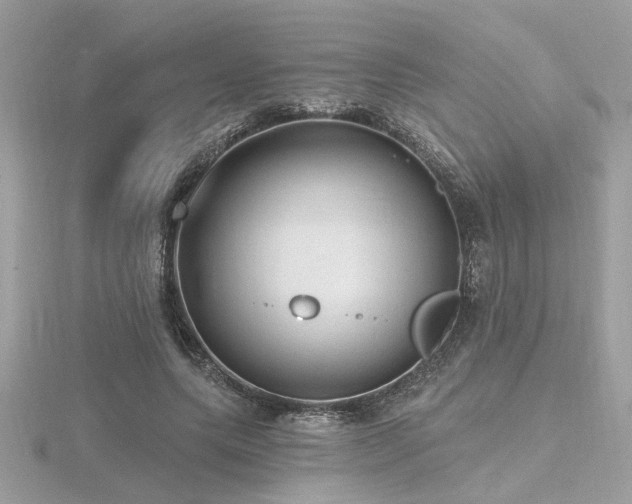 X0000116570639200912101511