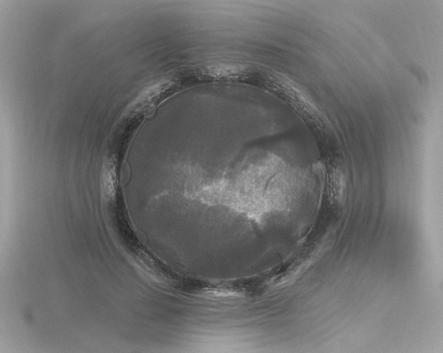 X0000116570644200912101511