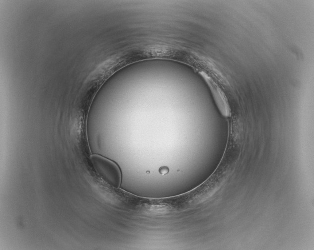 X0000116570645200912101511