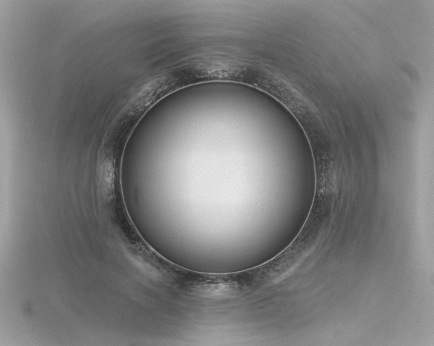 X0000116570646200912101511